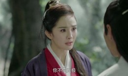 扶摇在线观看39,揭秘扶摇与长孙无极的生死抉择！